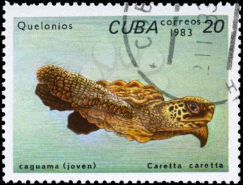 CUBA - CIRCA 1983: A Stamp printed in CUBA shows the image of a Loggerhead Sea Turtle with the description Caretta caretta from the series Turtles, circa 1983