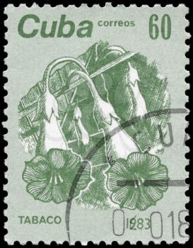 CUBA - CIRCA 1983: A Stamp printed in CUBA shows the Tobacco, from the series Flowers, circa 1983