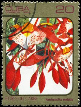 CUBA - CIRCA 1984: A Stamp printed in CUBA shows image of a Amherstia nobilis, from the series Caribbean Flowers, circa 1984