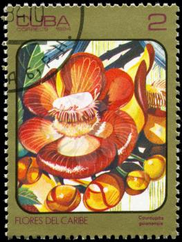 CUBA - CIRCA 1984: A Stamp printed in CUBA shows image of a Couroupita guianensis, from the series Caribbean Flowers, circa 1984
