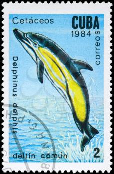 CUBA - CIRCA 1984: A Stamp printed in CUBA shows image of a Short-beaked Common Dolphin with the description Delphinus delphis from the series Marine Mammals, circa 1984