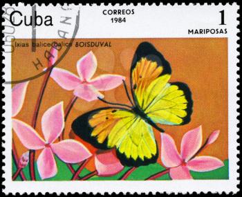 CUBA - CIRCA 1984: A Stamp printed in CUBA shows image of a Butterfly with the description Ixias balice, series, circa 1984
