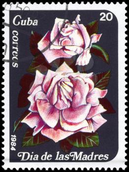 CUBA - CIRCA 1984: A Stamp printed in CUBA shows image of a Pink roses, from the series Mother's Day, circa 1984