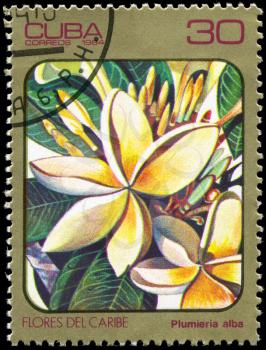 CUBA - CIRCA 1984: A Stamp printed in CUBA shows image of a Plumieria alba, from the series Caribbean Flowers, circa 1984