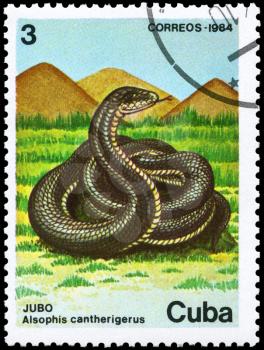 CUBA - CIRCA 1984: A Stamp printed in CUBA shows image of a Snake with the description Alsophis cantherigerus from the series Fauna, circa 1984
