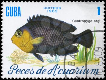 CUBA - CIRCA 1985: A Stamp printed in CUBA shows image of a Centropyge Argi from the series Aquarium Fish, circa 1985