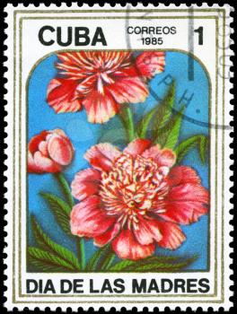 CUBA - CIRCA 1985: A Stamp printed in CUBA shows image of a Peonies, from the series Mother's Day, circa 1985