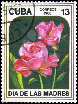CUBA - CIRCA 1985: A Stamp printed in CUBA shows image of a two Roses, from the series Mother's Day, circa 1985