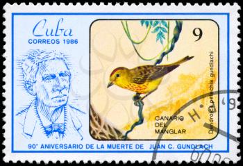 CUBA - CIRCA 1986: A Stamp shows image of a Yellow Warbler with the designation Dendroica petechia gundlachi from the series Gundlach and Birds. Note - Juan Cristobal Gundlach (1810-1896), ornitho