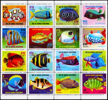EQUATORIAL GUINEA - CIRCA 1974: A Stamp sheet printed in EQUATORIAL GUINEA shows a collection of Tropical Fish, circa 1974