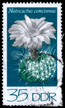 GDR - CIRCA 1974: A Stamp shows image of a Notocactus with the designation Notocactus concinnus from the Cacti series, circa 1974