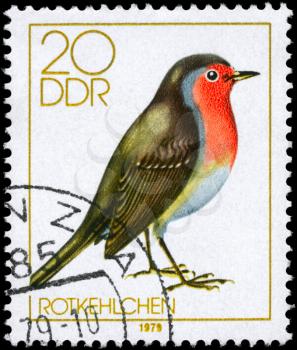 GDR - CIRCA 1979: A Stamp shows image of a Robin from the series Song Birds, circa 1979