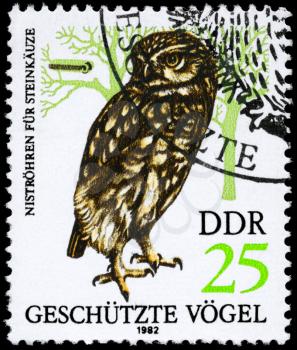 GDR - CIRCA 1982: A Stamp shows image of a Eagle Owl from the series Protected birds, circa 1982