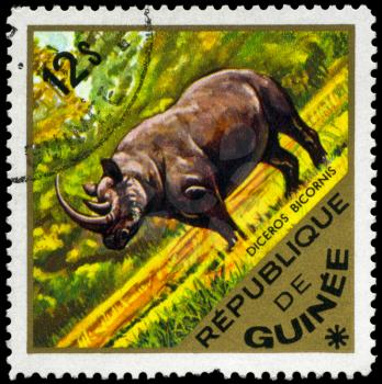 GUINEA - CIRCA 1975: A Stamp shows image of a black rhinoceros with the inscription 
diceros bicornis, series, circa 1975