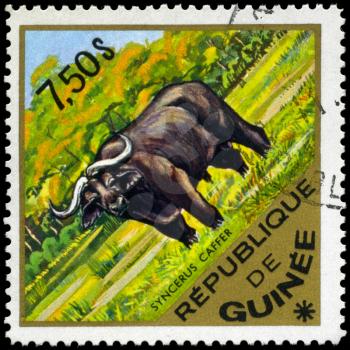 GUINEA - CIRCA 1975: A Stamp shows a buffalo, series, circa 1975