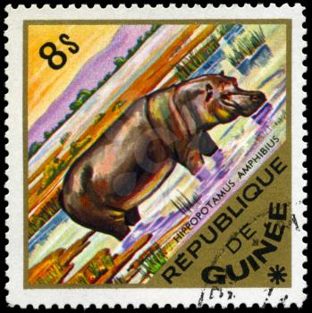 GUINEA - CIRCA 1975: A Stamp shows a hippopotamus, series, circa 1975