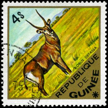 GUINEA - CIRCA 1975: A Stamp shows image of a Waterbuck with the inscription kobus defassa, series, circa 1975