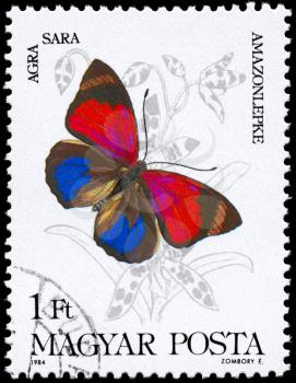 HUNGARY - CIRCA 1984: A Stamp printed in HUNGARY shows image of a Butterfly with the description Agra sara, series, circa 1984