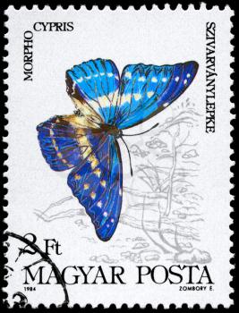 HUNGARY - CIRCA 1984: A Stamp printed in HUNGARY shows image of a Butterfly with the description Morpho cypris, series, circa 1984