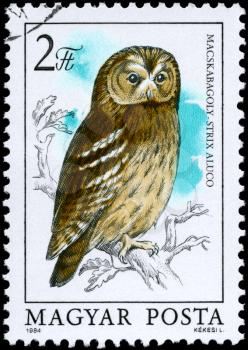 HUNGARY - CIRCA 1984: A Stamp shows image of a Tawny Owl with the inscription Strix aluco from the series Owls, circa 1984