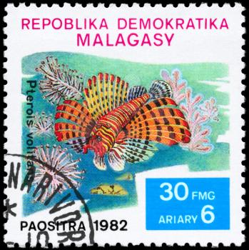 MALAGASY - CIRCA 1982: A Stamp printed in MALAGASY shows image of a Red Lionfish with the inscription Pterois volitans from the series Local Fish, circa 1982