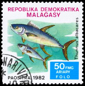 MALAGASY - CIRCA 1982: A Stamp printed in MALAGASY shows image of a Yellowfin Tuna with the inscription Thunnus albacares from the series Local Fish, circa 1982