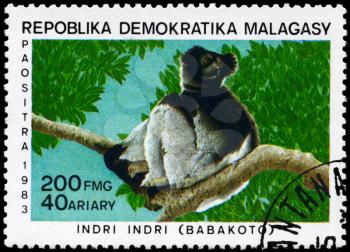 MALAGASY REPUBLIC - CIRCA 1983: A Stamp printed in MALAGASY REPUBLIC shows image of a Babakoto with the description Indri indri from the series Various Lemurs, circa 1983