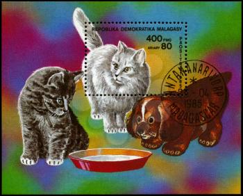 MALAGASY REPUBLIC - CIRCA 1985: A Stamp sheet printed in MALAGASY REPUBLIC shows image of a Kittens and Pup from the series Cats and Dogs, circa 1985