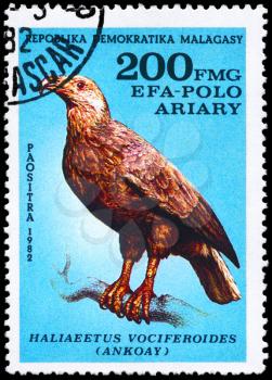 MALAGASY REPUBLIC - CIRCA 1982: A Stamp shows image of a Eagle with the inscription Haliaeetus vociferoides, series, circa 1982
