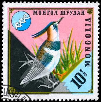 MONGOLIA - CIRCA 1974: A Stamp shows image of a Lapwing(plover) from the series Water and nature protection, circa 1974