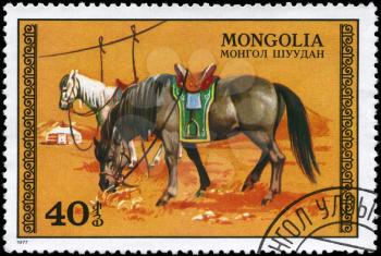 MONGOLIA - CIRCA 1977: A Stamp printed in MONGOLIA shows the image of the Grazing Horses, series, circa 1977
