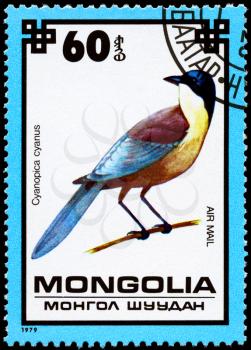 MONGOLIA - CIRCA 1979: A Stamp shows image of a Blue Magpie with the designation Cyanopica cyanus from the series Protected Birds, circa 1979