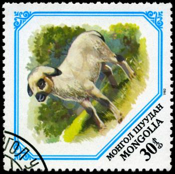 MONGOLIA - CIRCA 1982: A Stamp shows image of a lamb, series, circa 1982