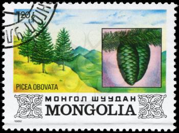 MONGOLIA - CIRCA 1982: A Stamp printed in MONGOLIA shows the Siberian Spruce, with the description Picea obovata, series, circa 1982