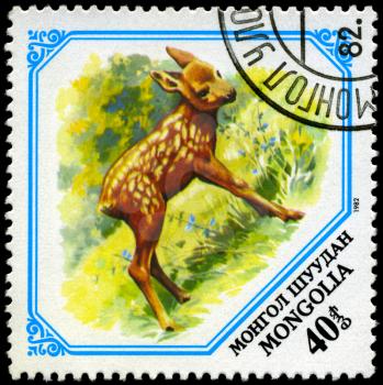 MONGOLIA - CIRCA 1982: A Stamp shows image of a young deer, series, circa 1982