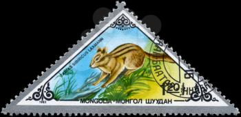 MONGOLIA - CIRCA 1983: A Stamp printed in MONGOLIA shows image of a Siberian Chipmunk with the designation Tamias sibiricus laxmann from the series Rodents, circa 1983