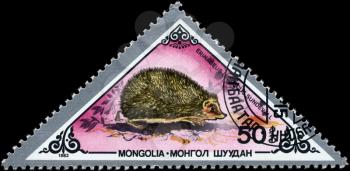 MONGOLIA - CIRCA 1983: A Stamp printed in MONGOLIA shows image of a Daurian Hedgehog with the designation Erinaceus dauuricus sundevall from the series Rodents, circa 1983