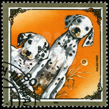 MONGOLIA - CIRCA 1984: A Stamp printed in MONGOLIA shows image of a Dalmatians from the series Dogs, circa 1984
