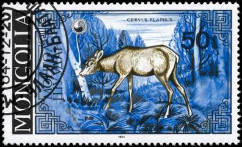 MONGOLIA - CIRCA 1984: A Stamp printed in MONGOLIA shows image of a She-deer with the description Cervus elaphus, series, circa 1984