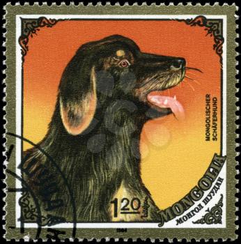 MONGOLIA - CIRCA 1984: A Stamp printed in MONGOLIA shows image of a Mongolian Sheepdog from the series Dogs, circa 1984