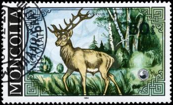 MONGOLIA - CIRCA 1984: A Stamp printed in MONGOLIA shows image of a Stag with the description Cervus elaphus, series, circa 1984