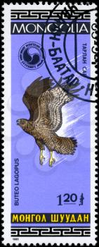 MONGOLIA - CIRCA 1985: A Stamp shows image of a Rough-legged Buzzard with the inscription Buteo lagopus from the series Birds, circa 1985