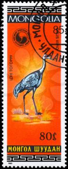MONGOLIA - CIRCA 1985: A Stamp shows image of a White-naped Crane with the inscription Grus vipio from the series Birds, circa 1985