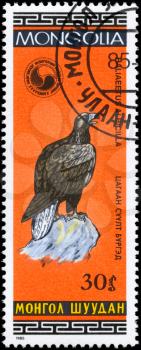MONGOLIA - CIRCA 1985: A Stamp shows image of a White-tailed Eagle with the inscription Haliaeetus albicilla from the series Birds, circa 1985