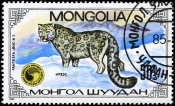 MONGOLIA - CIRCA 1985: A Stamp printed in MONGOLIA shows image of a Leopard standing in snow, with the description Panthera unicias, series, circa 1985