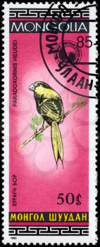 MONGOLIA - CIRCA 1985: A Stamp shows image of a Parrotbill with the inscription Paradoxornis heudei from the series Birds, circa 1985