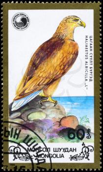 MONGOLIA - CIRCA 1988: A Stamp shows image of a Eagle facing right with the inscription Haliaeetus albicilla from the series Wildlife Conservation, circa 1988