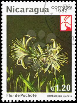 NICARAGUA - CIRCA 1982: A Stamp printed in NICARAGUA shows image of a Bombacopsis quinata, series, circa 1982