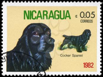 NICARAGUA - CIRCA 1982: A Stamp printed in NICARAGUA shows image of a Cocker Spaniel from the series Dogs, circa 1982