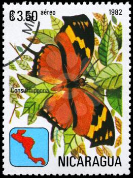 NICARAGUA - CIRCA 1982: A Stamp printed in NICARAGUA shows image of a Butterfly with the description Consul hippona, series, circa 1982
